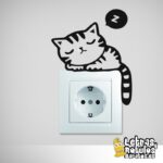 Gatito dormido