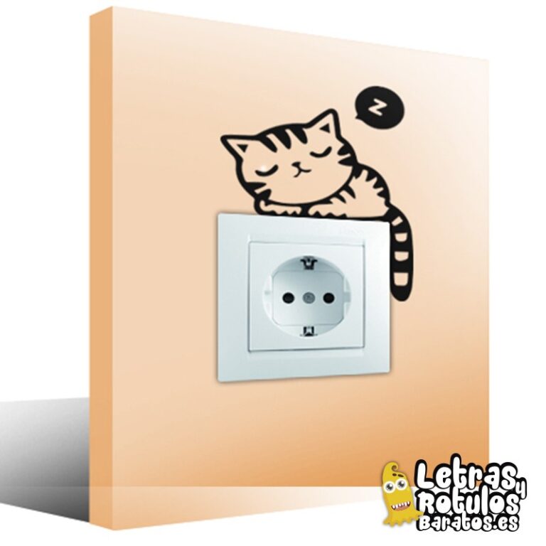 Gatito dormido